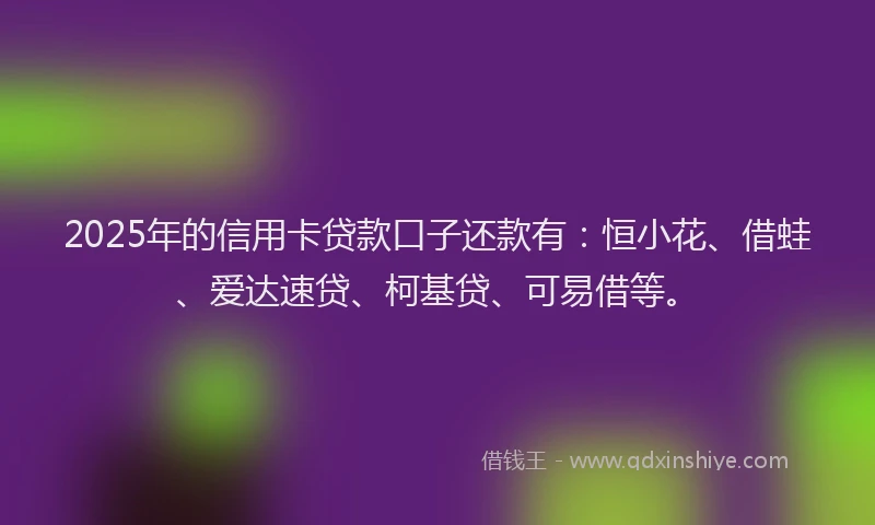 2025年的信用卡贷款口子还款有：恒小花、借蛙、爱达速贷、柯基贷、可易借等。