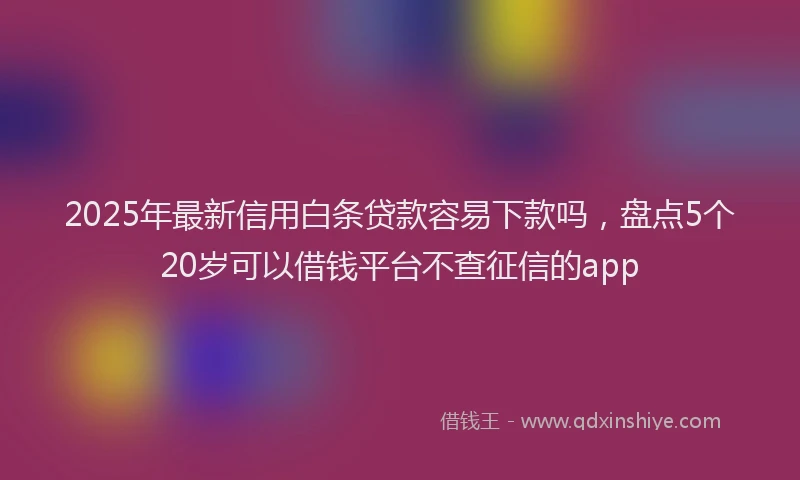 2025年最新信用白条贷款容易下款吗，盘点5个20岁可以借钱平台不查征信的app