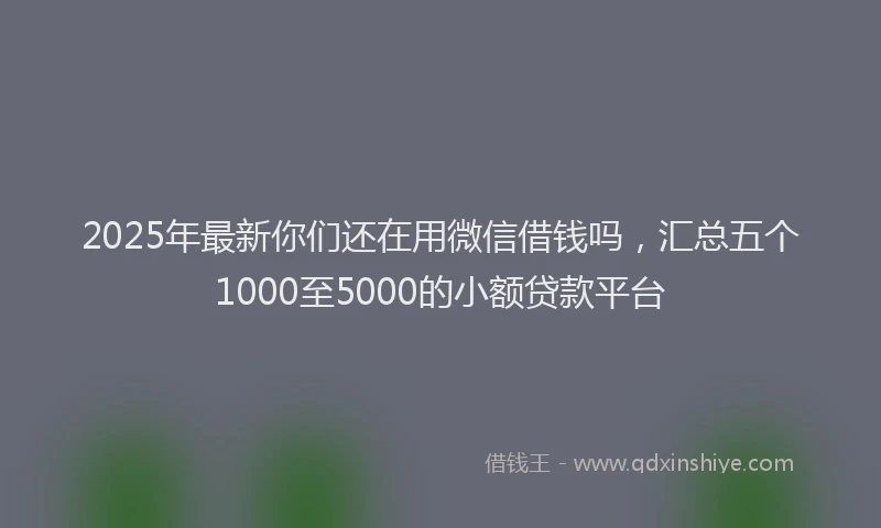 2025年最新你们还在用微信借钱吗，汇总五个1000至5000的小额贷款平台
