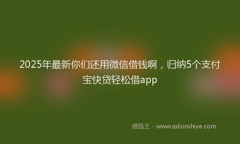 2025年最新你们还用微信借钱啊，归纳5个支付宝快贷轻松借app
