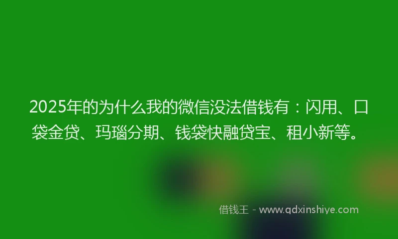 2025年的为什么我的微信没法借钱有：闪用、口袋金贷、玛瑙分期、钱袋快融贷宝、租小新等。