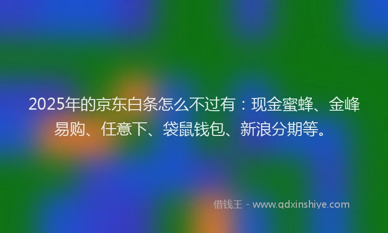 2025年的京东白条怎么不过有：现金蜜蜂、金峰易购、任意下、袋鼠钱包、新浪分期等。