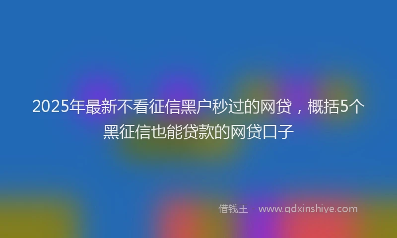 2025年最新不看征信黑户秒过的网贷，概括5个黑征信也能贷款的网贷口子