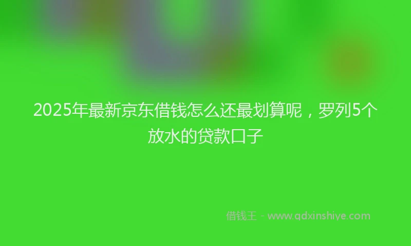 2025年最新京东借钱怎么还最划算呢，罗列5个放水的贷款口子