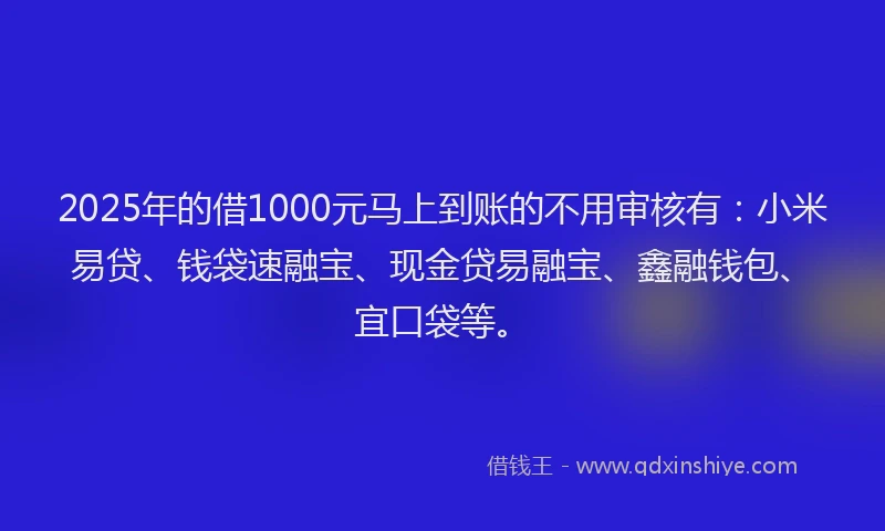 2025年的借1000元马上到账的不用审核有：小米易贷、钱袋速融宝、现金贷易融宝、鑫融钱包、宜口袋等。