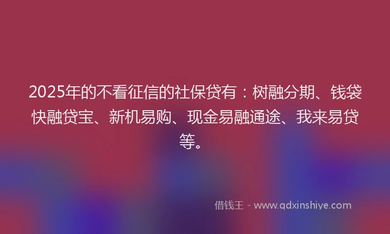 2025年的不看征信的社保贷有：树融分期、钱袋快融贷宝、新机易购、现金易融通途、我来易贷等。