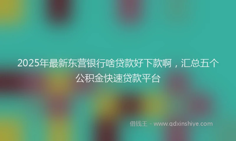 2025年最新东营银行啥贷款好下款啊，汇总五个公积金快速贷款平台