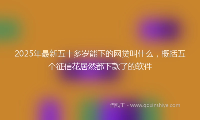 2025年最新五十多岁能下的网贷叫什么，概括五个征信花居然都下款了的软件