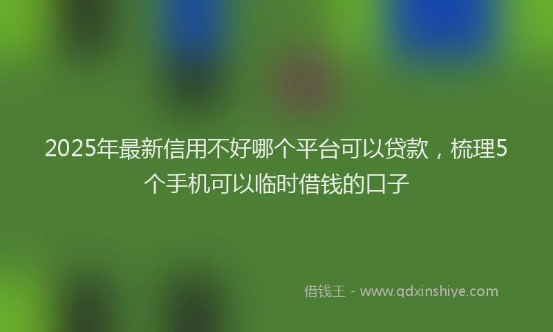 2025年最新信用不好哪个平台可以贷款，梳理5个手机可以临时借钱的口子
