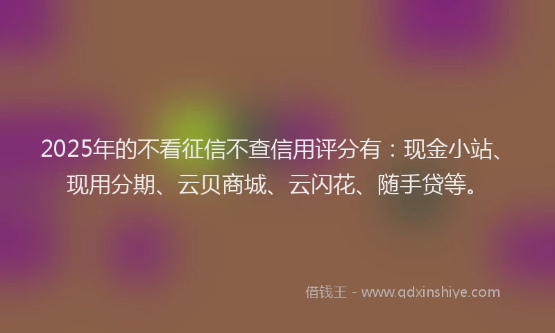 2025年的不看征信不查信用评分有：现金小站、现用分期、云贝商城、云闪花、随手贷等。