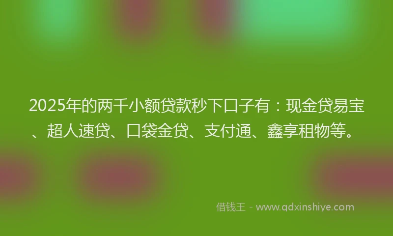 2025年的两千小额贷款秒下口子有：现金贷易宝、超人速贷、口袋金贷、支付通、鑫享租物等。