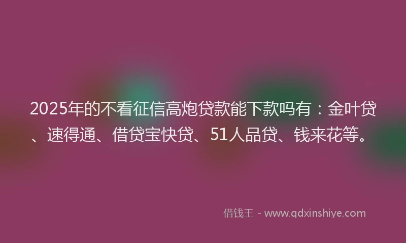 2025年的不看征信高炮贷款能下款吗有：金叶贷、速得通、借贷宝快贷、51人品贷、钱来花等。