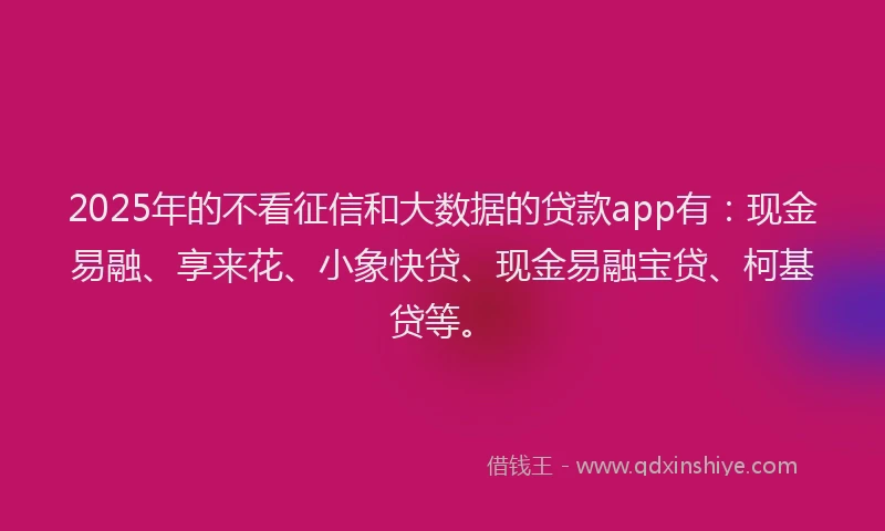 2025年的不看征信和大数据的贷款app有：现金易融、享来花、小象快贷、现金易融宝贷、柯基贷等。