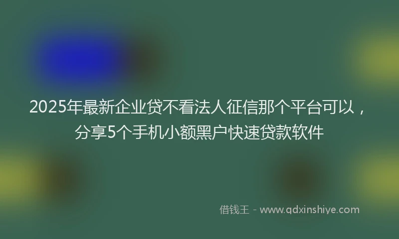 2025年最新企业贷不看法人征信那个平台可以，分享5个手机小额黑户快速贷款软件