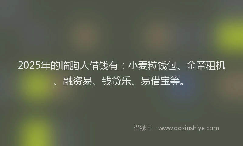 2025年的临朐人借钱有：小麦粒钱包、金帝租机、融资易、钱贷乐、易借宝等。