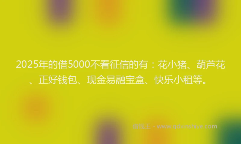 2025年的借5000不看征信的有：花小猪、葫芦花、正好钱包、现金易融宝盒、快乐小租等。