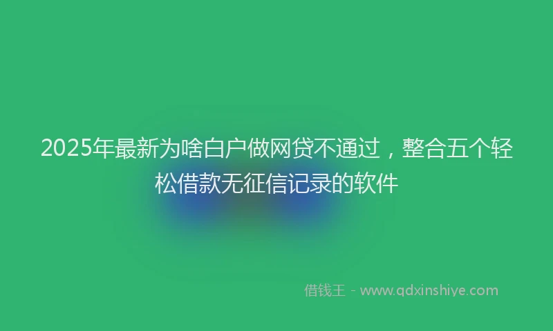 2025年最新为啥白户做网贷不通过，整合五个轻松借款无征信记录的软件