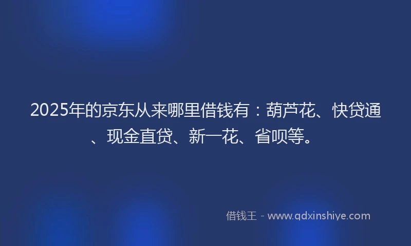 2025年的京东从来哪里借钱有：葫芦花、快贷通、现金直贷、新一花、省呗等。