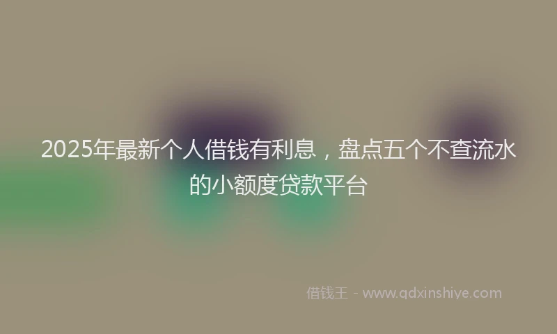 2025年最新个人借钱有利息，盘点五个不查流水的小额度贷款平台
