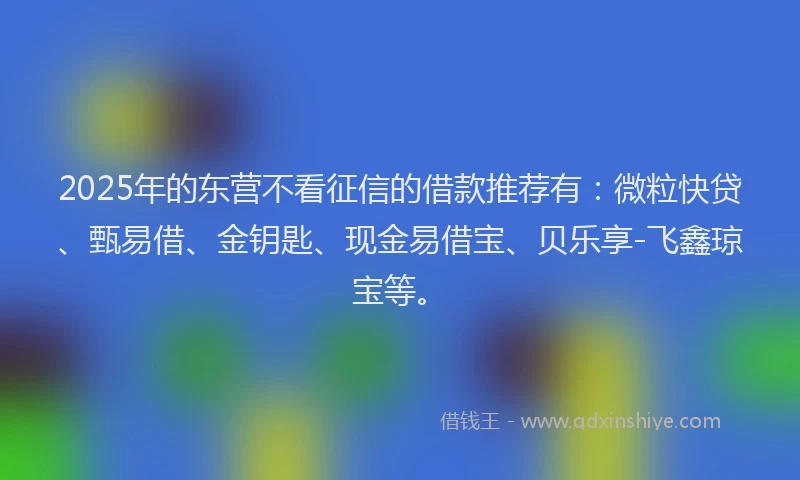 2025年的东营不看征信的借款推荐有：微粒快贷、甄易借、金钥匙、现金易借宝、贝乐享-飞鑫琼宝等。