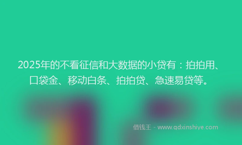 2025年的不看征信和大数据的小贷有：拍拍用、口袋金、移动白条、拍拍贷、急速易贷等。