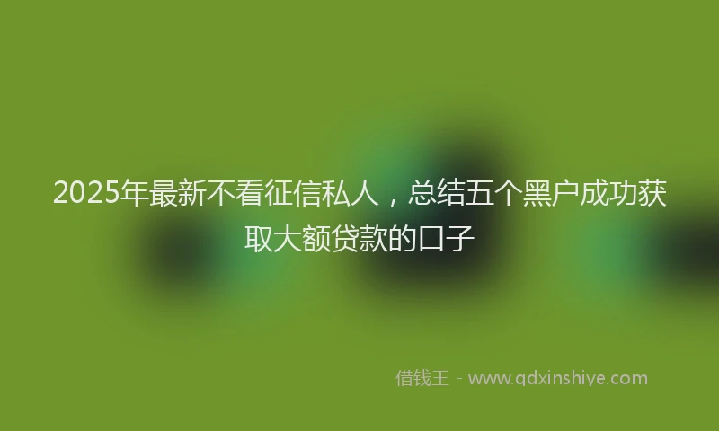 2025年最新不看征信私人，总结五个黑户成功获取大额贷款的口子