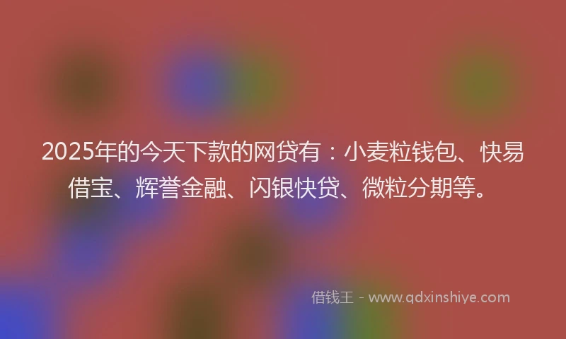 2025年的今天下款的网贷有：小麦粒钱包、快易借宝、辉誉金融、闪银快贷、微粒分期等。