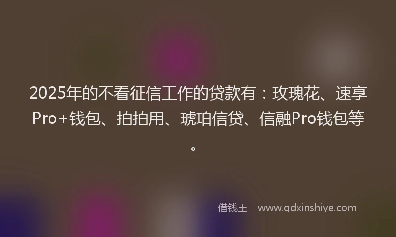 2025年的不看征信工作的贷款有：玫瑰花、速享Pro+钱包、拍拍用、琥珀信贷、信融Pro钱包等。