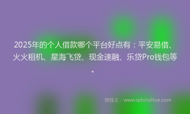 2025年的个人借款哪个平台好点有：平安易借、火火租机、星海飞贷、现金速融、乐贷Pro钱包等。