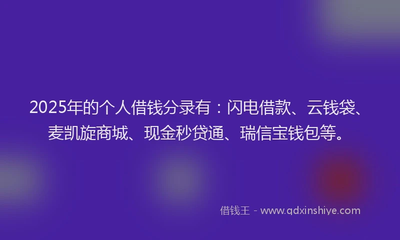 2025年的个人借钱分录有：闪电借款、云钱袋、麦凯旋商城、现金秒贷通、瑞信宝钱包等。