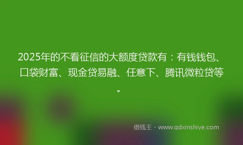 2025年的不看征信的大额度贷款有：有钱钱包、口袋财富、现金贷易融、任意下、腾讯微粒贷等。