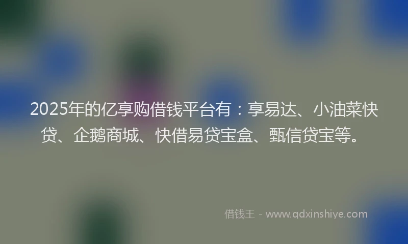 2025年的亿享购借钱平台有：享易达、小油菜快贷、企鹅商城、快借易贷宝盒、甄信贷宝等。