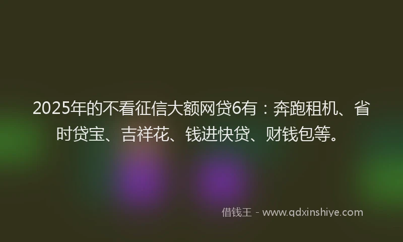 2025年的不看征信大额网贷6有：奔跑租机、省时贷宝、吉祥花、钱进快贷、财钱包等。