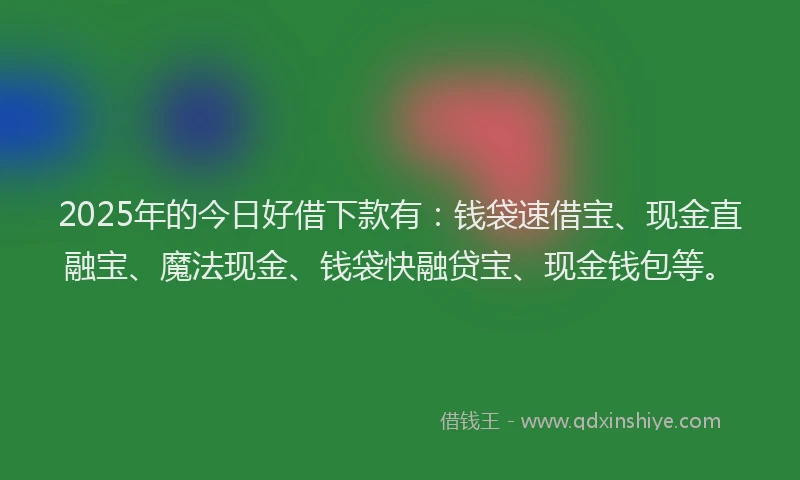 2025年的今日好借下款有：钱袋速借宝、现金直融宝、魔法现金、钱袋快融贷宝、现金钱包等。
