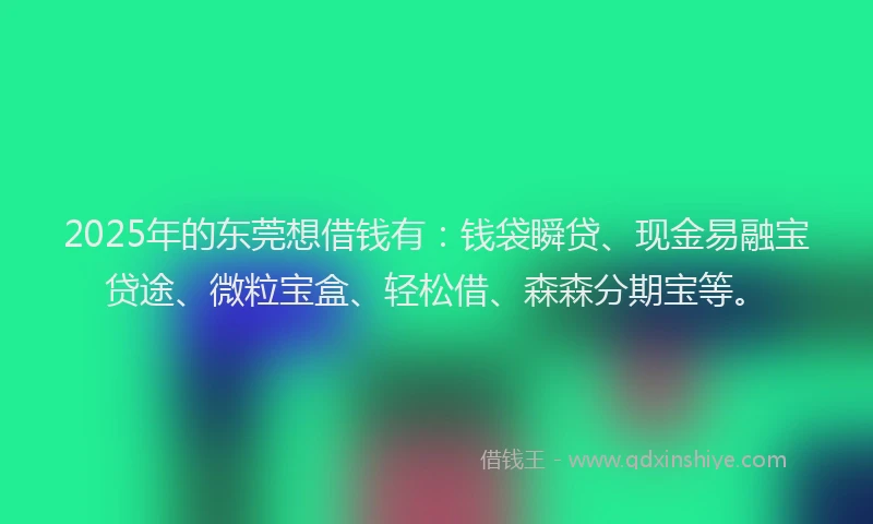 2025年的东莞想借钱有：钱袋瞬贷、现金易融宝贷途、微粒宝盒、轻松借、森森分期宝等。