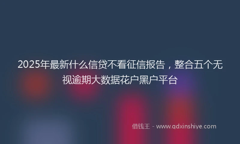 2025年最新什么信贷不看征信报告，整合五个无视逾期大数据花户黑户平台
