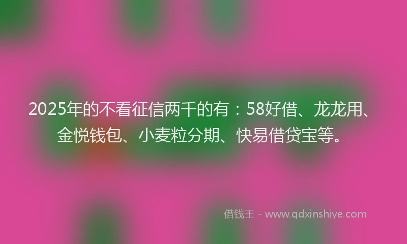 2025年的不看征信两千的有：58好借、龙龙用、金悦钱包、小麦粒分期、快易借贷宝等。