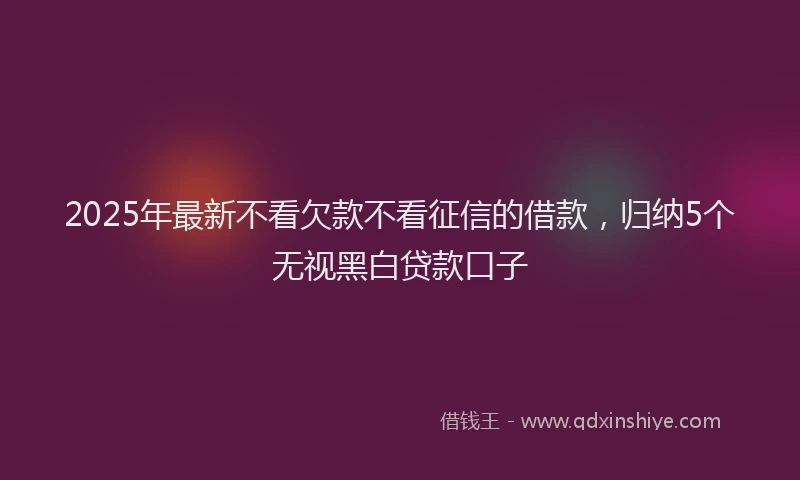 2025年最新不看欠款不看征信的借款，归纳5个无视黑白贷款口子