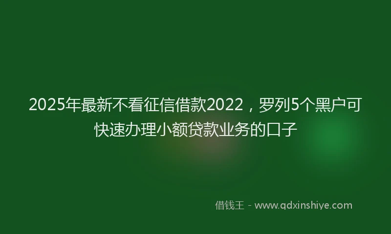 2025年最新不看征信借款2022，罗列5个黑户可快速办理小额贷款业务的口子