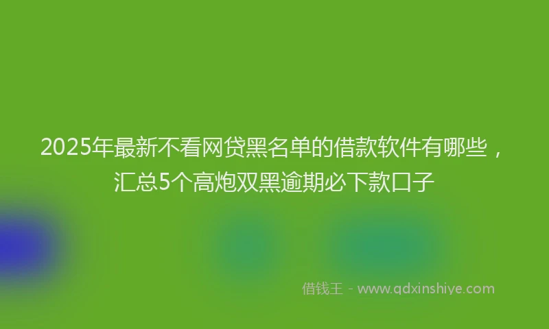 2025年最新不看网贷黑名单的借款软件有哪些，汇总5个高炮双黑逾期必下款口子