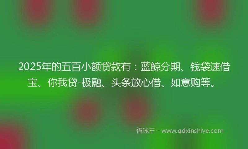 2025年的五百小额贷款有：蓝鲸分期、钱袋速借宝、你我贷-极融、头条放心借、如意购等。
