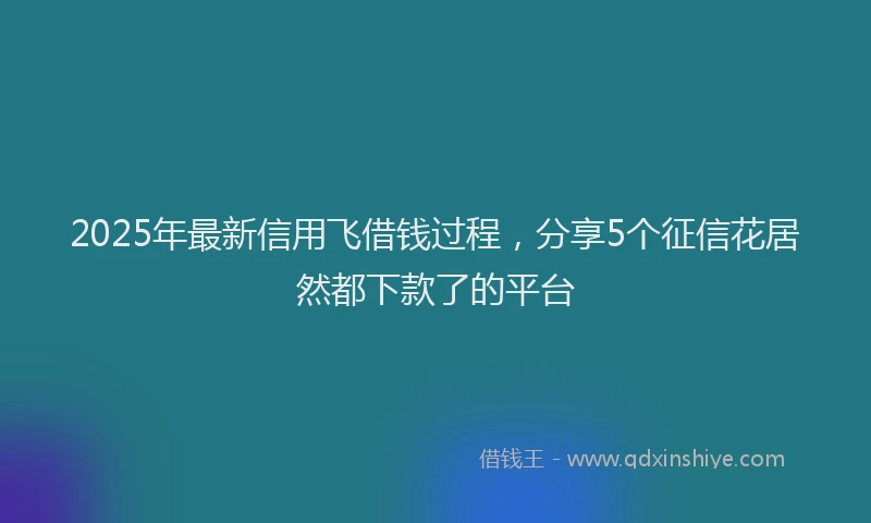 2025年最新信用飞借钱过程，分享5个征信花居然都下款了的平台