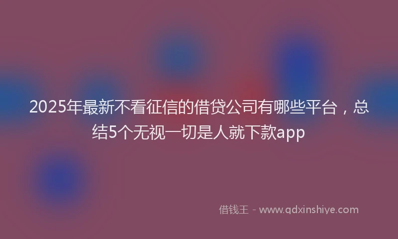 2025年最新不看征信的借贷公司有哪些平台，总结5个无视一切是人就下款app