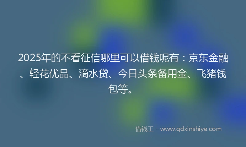 2025年的不看征信哪里可以借钱呢有：京东金融、轻花优品、滴水贷、今日头条备用金、飞猪钱包等。