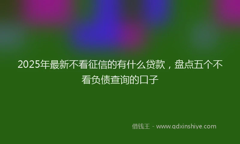 2025年最新不看征信的有什么贷款，盘点五个不看负债查询的口子