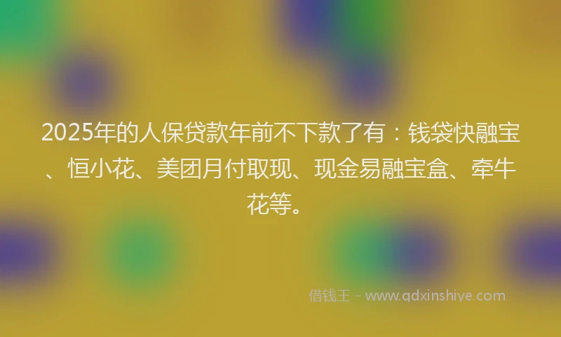2025年的人保贷款年前不下款了有：钱袋快融宝、恒小花、美团月付取现、现金易融宝盒、牵牛花等。