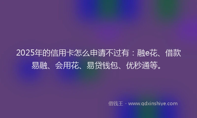 2025年的信用卡怎么申请不过有：融e花、借款易融、会用花、易贷钱包、优秒通等。