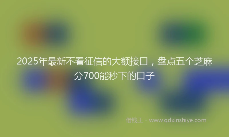 2025年最新不看征信的大额接口，盘点五个芝麻分700能秒下的口子