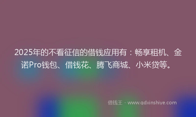 2025年的不看征信的借钱应用有：畅享租机、金诺Pro钱包、借钱花、腾飞商城、小米贷等。