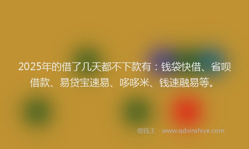 2025年的借了几天都不下款有：钱袋快借、省呗借款、易贷宝速易、哆哆米、钱速融易等。